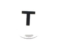 LEGO part Tile, Round 1 x 1 with Black Capital Letter T Pattern 98138pb230