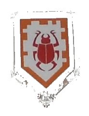 LEGO part Tile, Modified 2 x 3 Pentagonal with Nexo Power Shield Pattern - Beetle Bomb 22385pb007