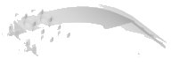 LEGO part Windscreen 8 x 4 x 2 Curved with Locking Dual 2 Fingers 46413