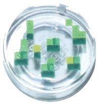 LEGO part Tile, Round 1 x 1 with Pixelated Bright Green, Dark Green, Green and Lime Rectangles and Squares Pattern (Minecraft Wheat Seeds) 98138pb452