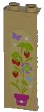 Tan