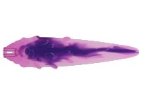 LEGO part Flame / Vapor Trail with Axle Hole and Ovals with Marbled Dark Purple Pattern 1995pb04
