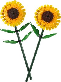 LEGO onderdeel Sunflowers 40524-1