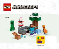 LEGO part L'Avventura della Taiga di Steve 21583-1
