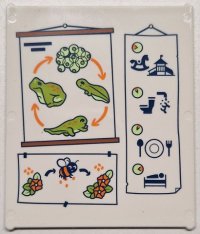 LEGO onderdeel Glass for Window 1 x 6 x 6 Flat Front with Lime and Yellowish Green Frogspawn, Tadpoles and Frog Life Cycle with Orange Arrows, Flowers, Bee and Black Daily Plan Pictures Pattern 42509pb09