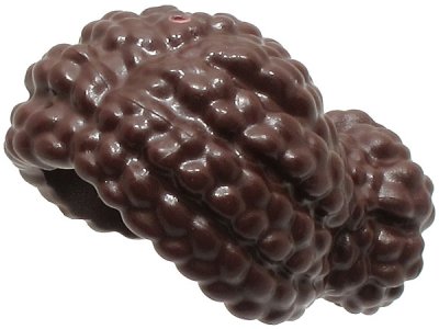 LEGO part Minifigure, Hair Female Short, Braided with Knot Bun (3532)