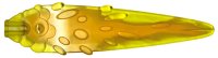 LEGO part Flame / Vapor Trail with Axle Hole and Ovals with Marbled Bright Light Orange Pattern 1995pb01