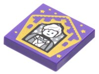 LEGO part Tile 2 x 2 with HP Chocolate Frog Card Newt Scamander Pattern 3068pb1751
