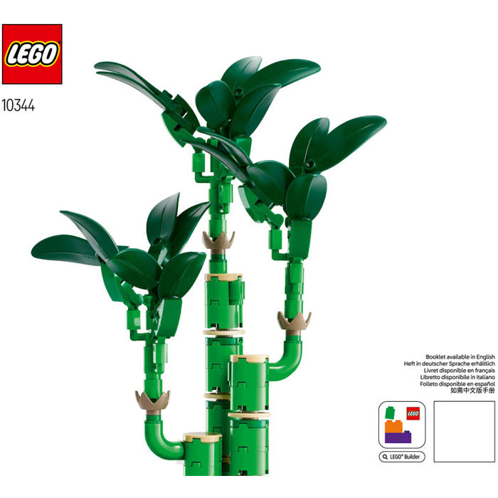 Instruction 10344-1 - Lucky Bamboo