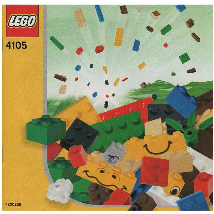 Instruction 4105-1 - Imagine and Build